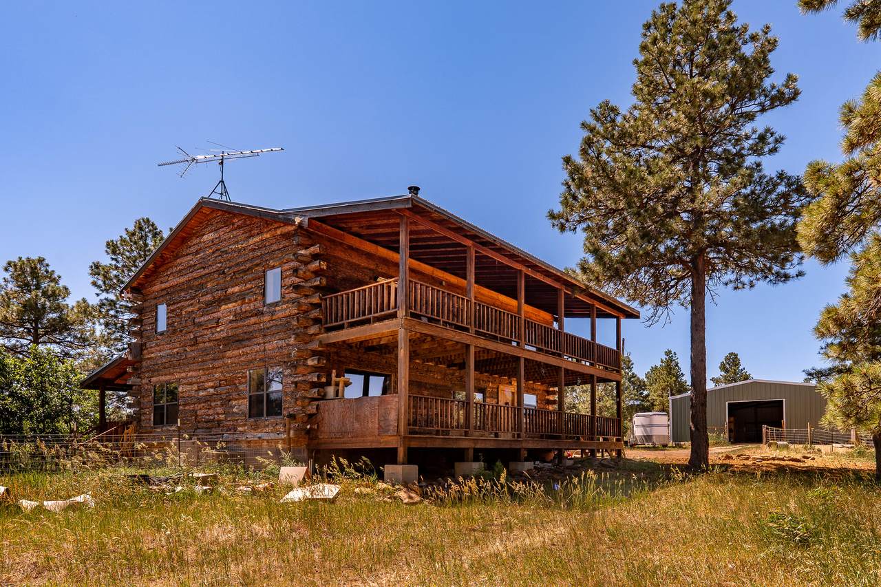 24401 County Road 44 - Photo 1