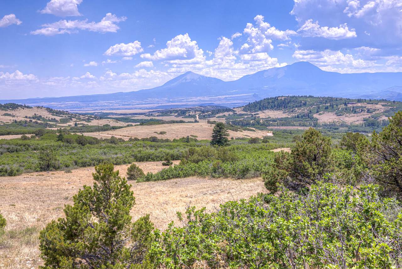 TBD Us Hwy 160 Tres Valles West - Photo 1