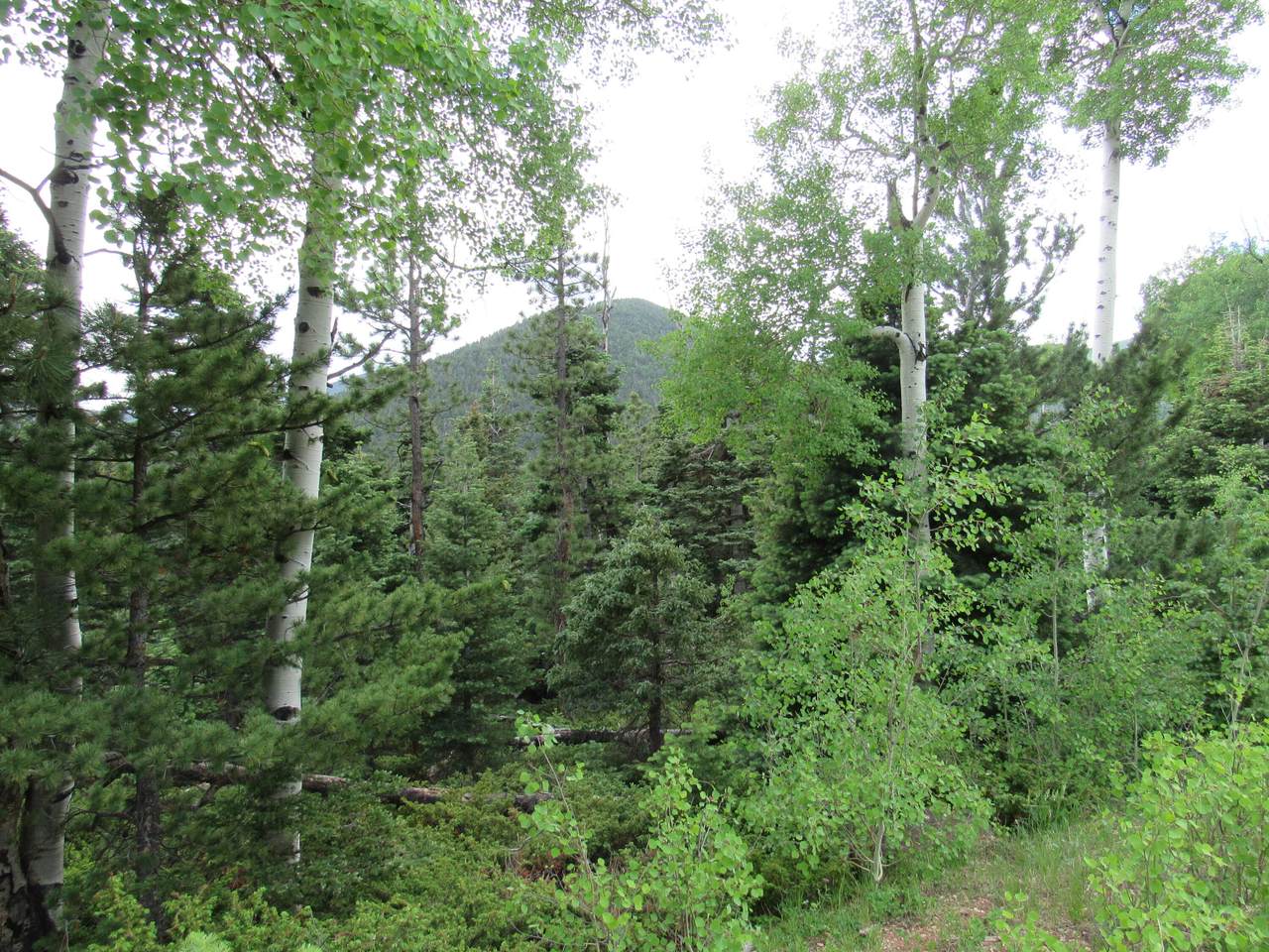 https://bt-photos.global.ssl.fastly.net/spanishpeaks/1280_boomver_1_26-725-2.jpg