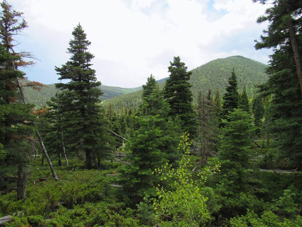 https://bt-photos.global.ssl.fastly.net/spanishpeaks/1280_boomver_1_26-725-2.jpg