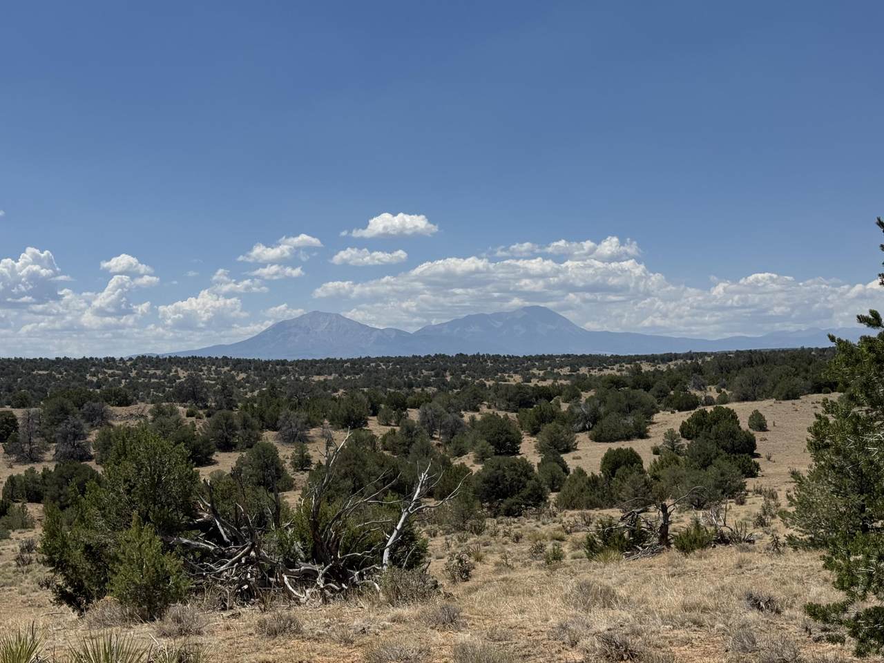 Lot F Twin Lakes Ranches - Photo 1