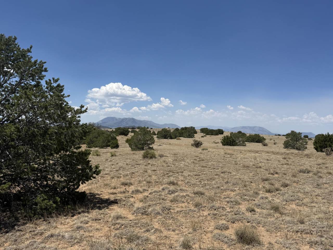 https://bt-photos.global.ssl.fastly.net/spanishpeaks/1280_boomver_1_26-731-2.jpg