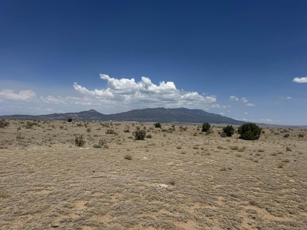 Lot H Twin Lakes Ranches - Photo 1