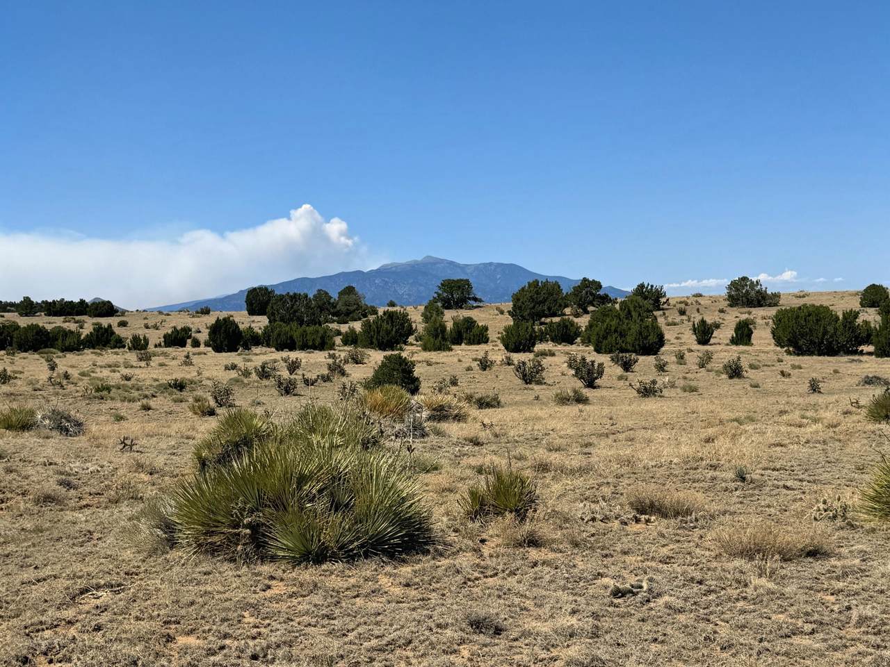 https://bt-photos.global.ssl.fastly.net/spanishpeaks/1280_boomver_1_26-736-2.jpg