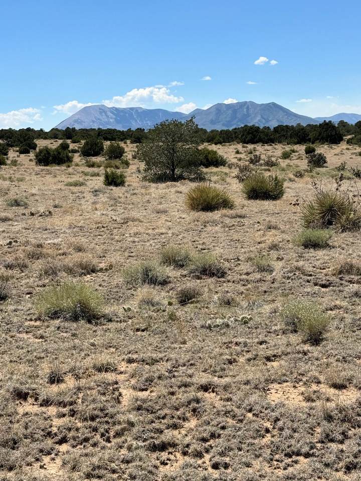 https://bt-photos.global.ssl.fastly.net/spanishpeaks/1280_boomver_1_26-736-2.jpg