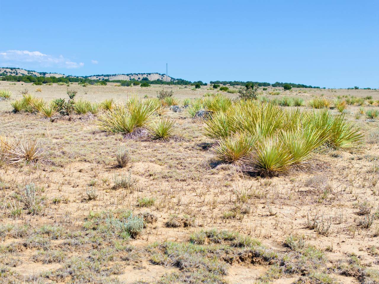 https://bt-photos.global.ssl.fastly.net/spanishpeaks/1280_boomver_1_26-743-2.jpg