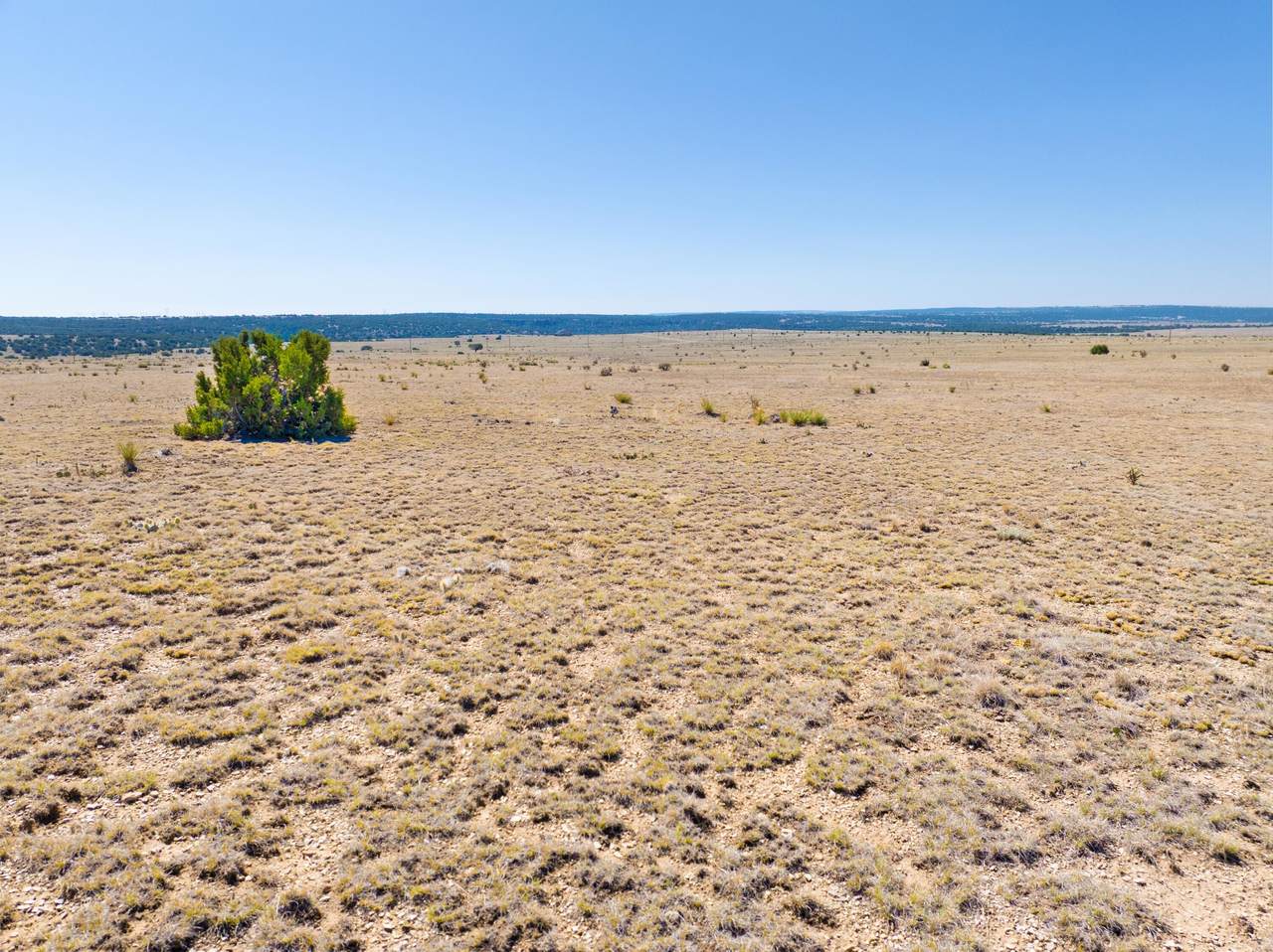 https://bt-photos.global.ssl.fastly.net/spanishpeaks/1280_boomver_1_26-743-2.jpg