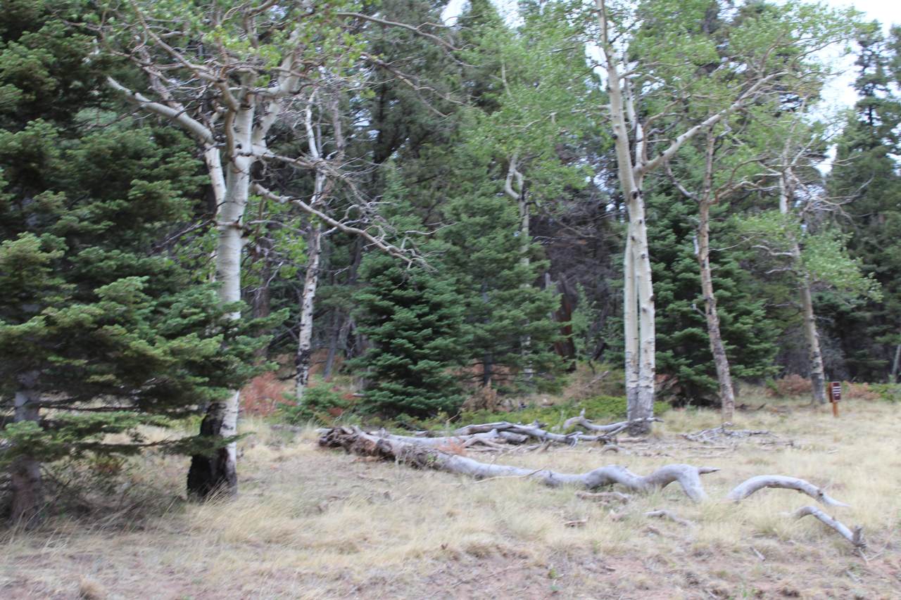https://bt-photos.global.ssl.fastly.net/spanishpeaks/1280_boomver_1_26-745-2.jpg