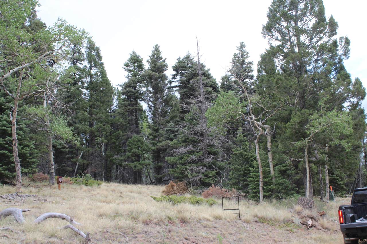 https://bt-photos.global.ssl.fastly.net/spanishpeaks/1280_boomver_1_26-745-2.jpg
