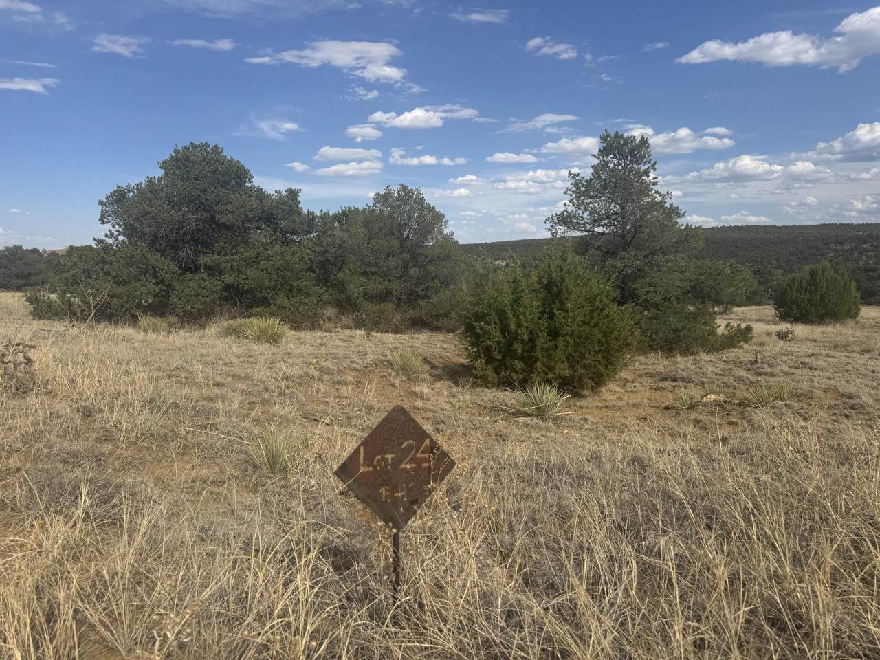 L24 B2 Black Diamond Park - Photo 1