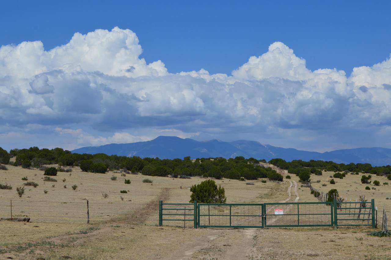 tbd Claymine Rd - Photo 1