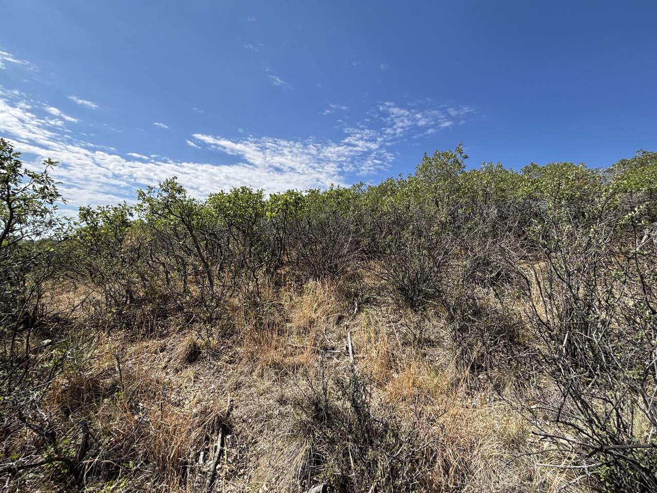 https://bt-photos.global.ssl.fastly.net/spanishpeaks/1280_boomver_1_26-758-2.jpg