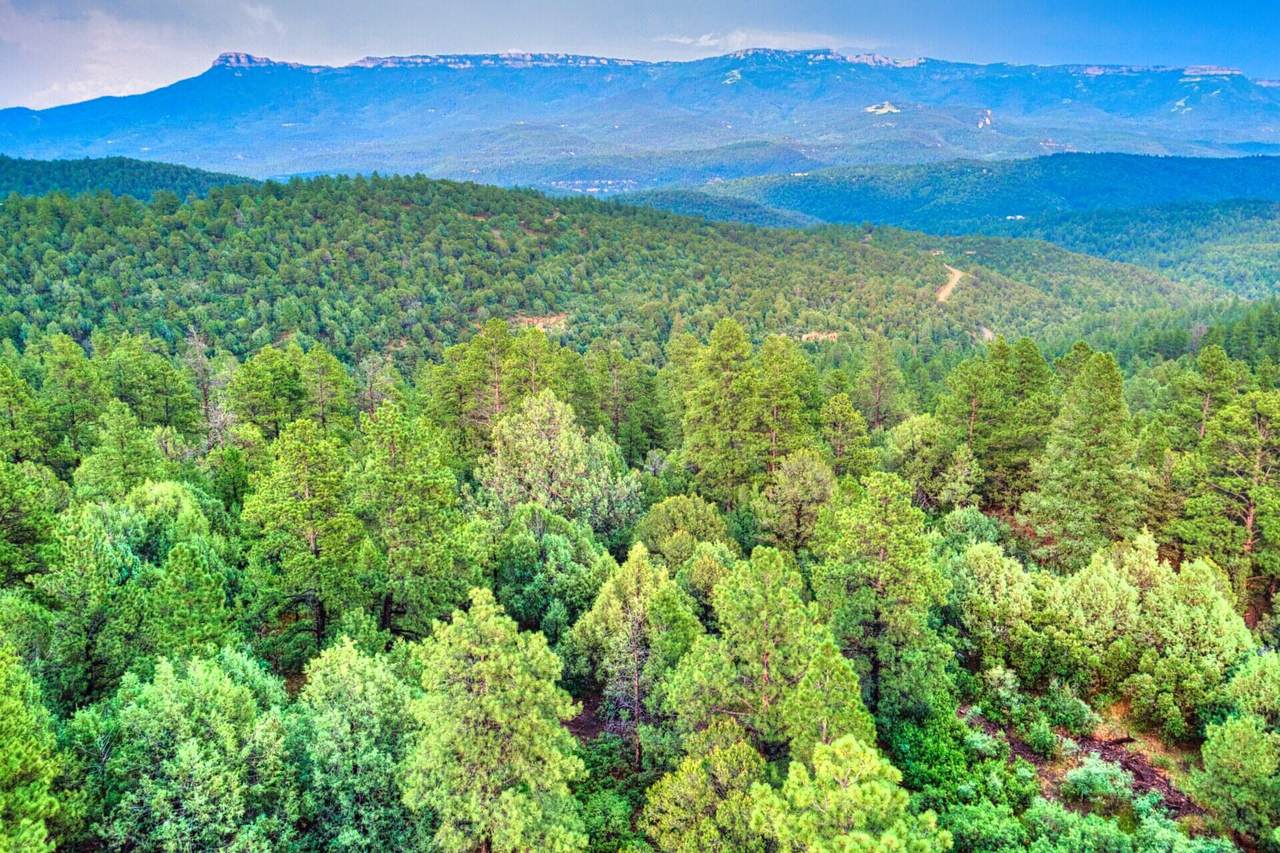 https://bt-photos.global.ssl.fastly.net/spanishpeaks/1280_boomver_1_26-763-2.jpg