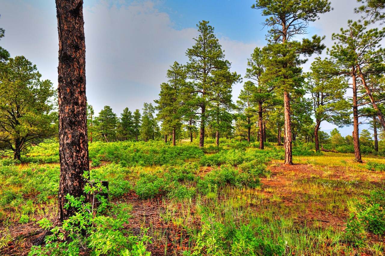 https://bt-photos.global.ssl.fastly.net/spanishpeaks/1280_boomver_1_26-763-2.jpg