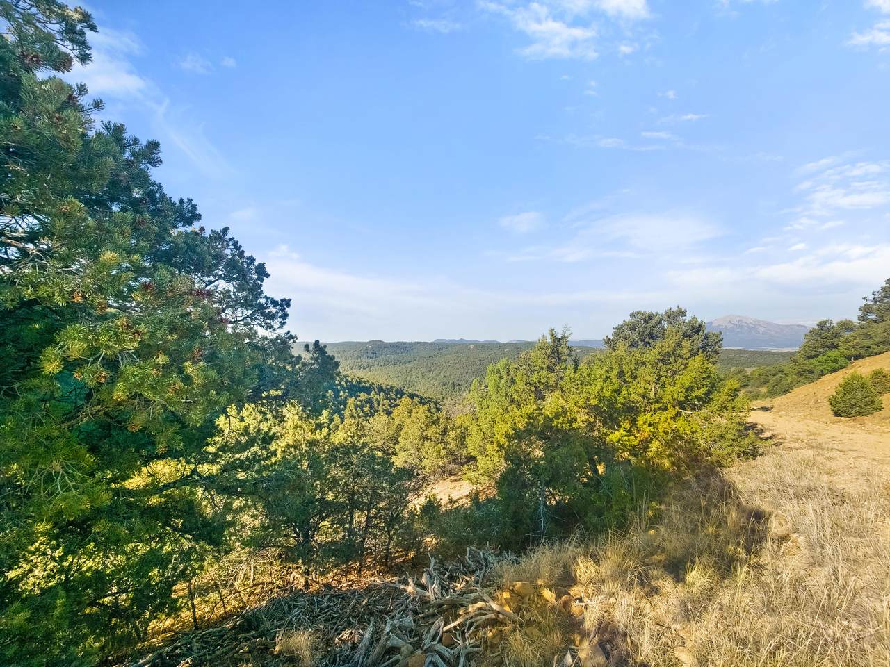 https://bt-photos.global.ssl.fastly.net/spanishpeaks/1280_boomver_1_26-773-2.jpg