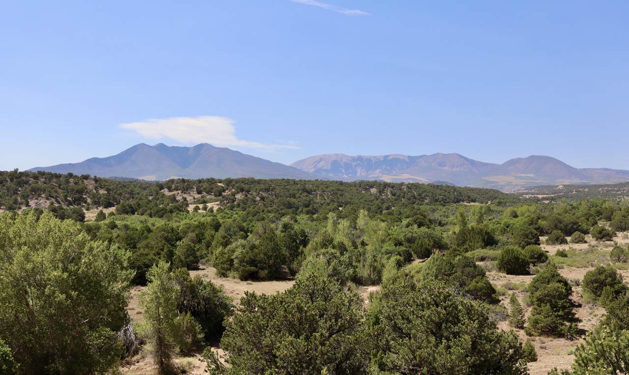  Cl&G Ranch Lots 58-60 - Photo 1