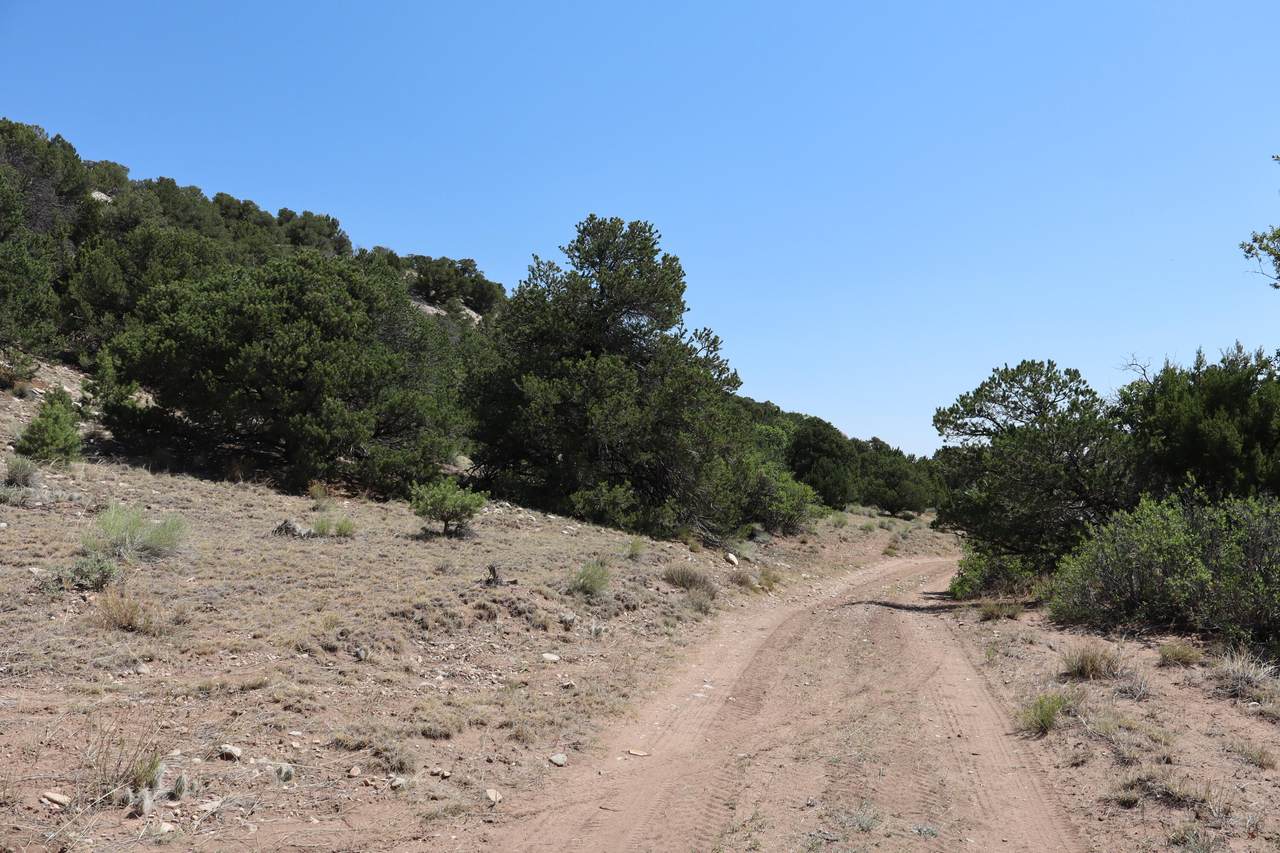 https://bt-photos.global.ssl.fastly.net/spanishpeaks/1280_boomver_1_26-779-2.jpg