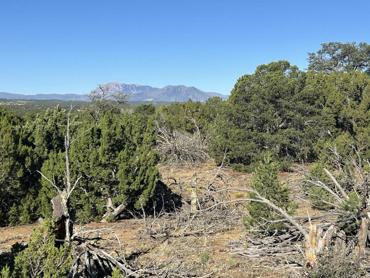 https://bt-photos.global.ssl.fastly.net/spanishpeaks/1280_boomver_1_26-782-2.jpg