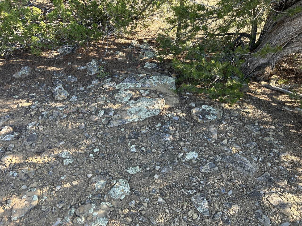 https://bt-photos.global.ssl.fastly.net/spanishpeaks/1280_boomver_1_26-782-2.jpg