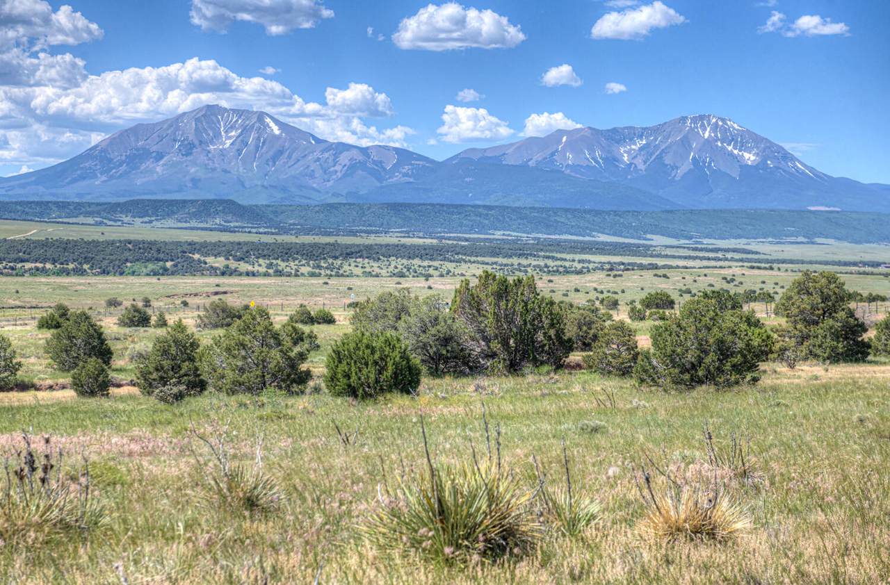  Lots 3&4 Navajo Ranch Estates - Photo 1