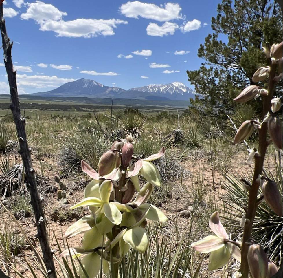 https://bt-photos.global.ssl.fastly.net/spanishpeaks/1280_boomver_1_26-790-2.jpg
