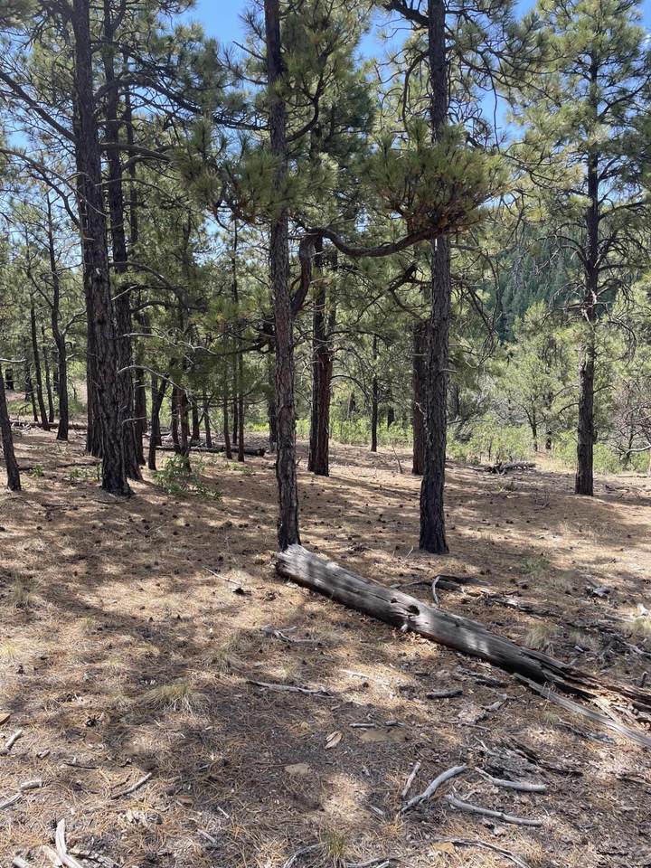 https://bt-photos.global.ssl.fastly.net/spanishpeaks/1280_boomver_1_26-795-2.jpg