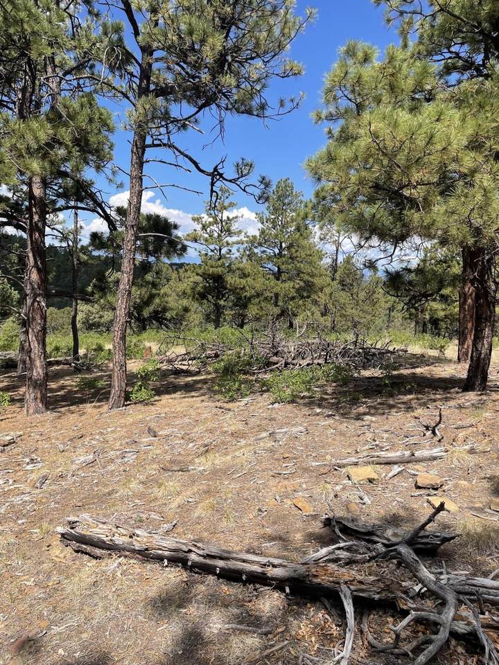 https://bt-photos.global.ssl.fastly.net/spanishpeaks/1280_boomver_1_26-795-2.jpg