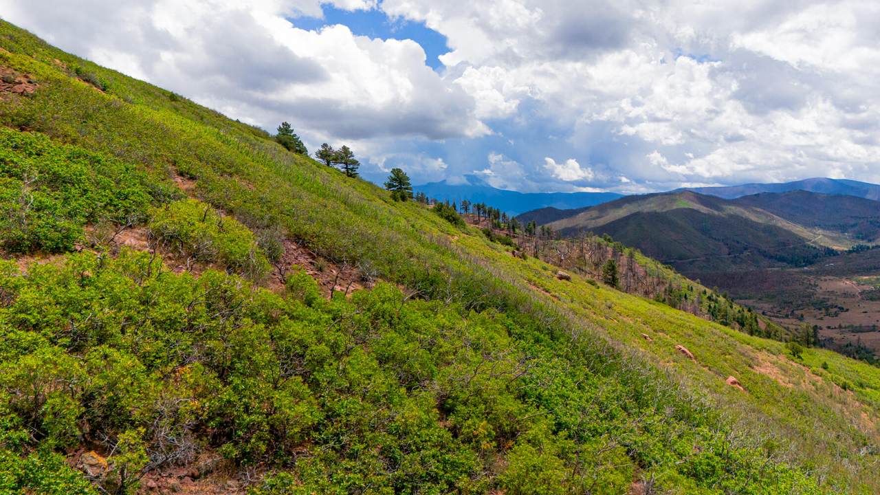Lot 10 La Veta Acres - Photo 1