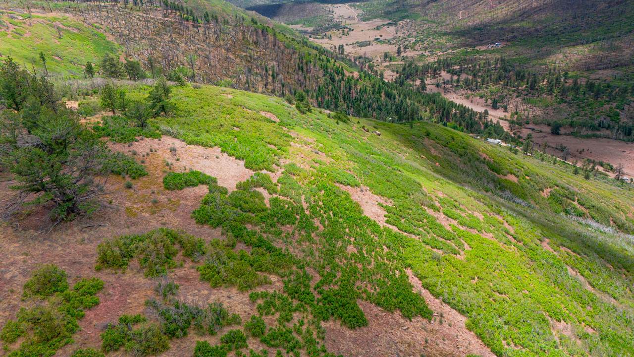 https://bt-photos.global.ssl.fastly.net/spanishpeaks/1280_boomver_1_26-817-2.jpg