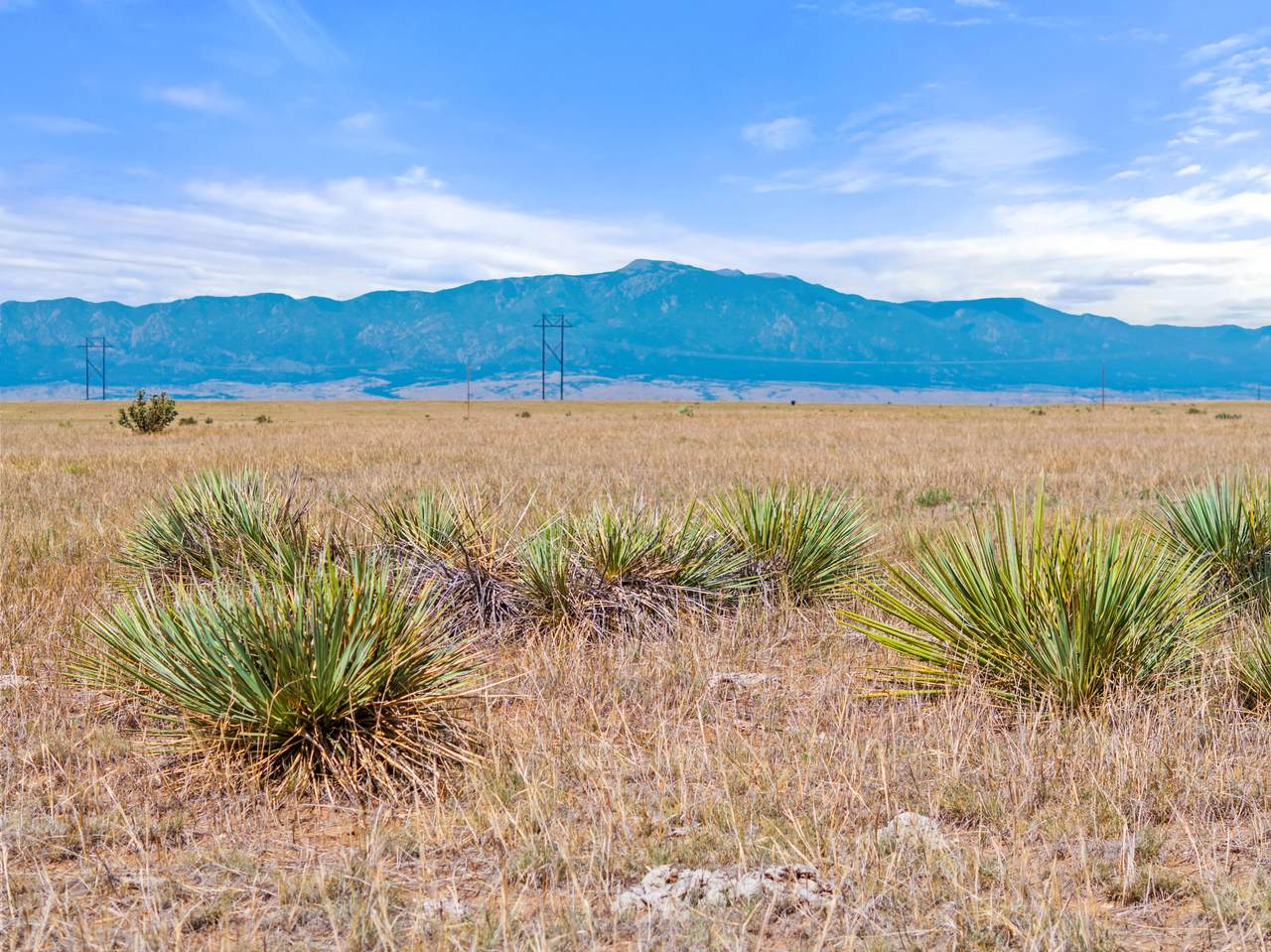 TBD County Road 103 - Photo 1