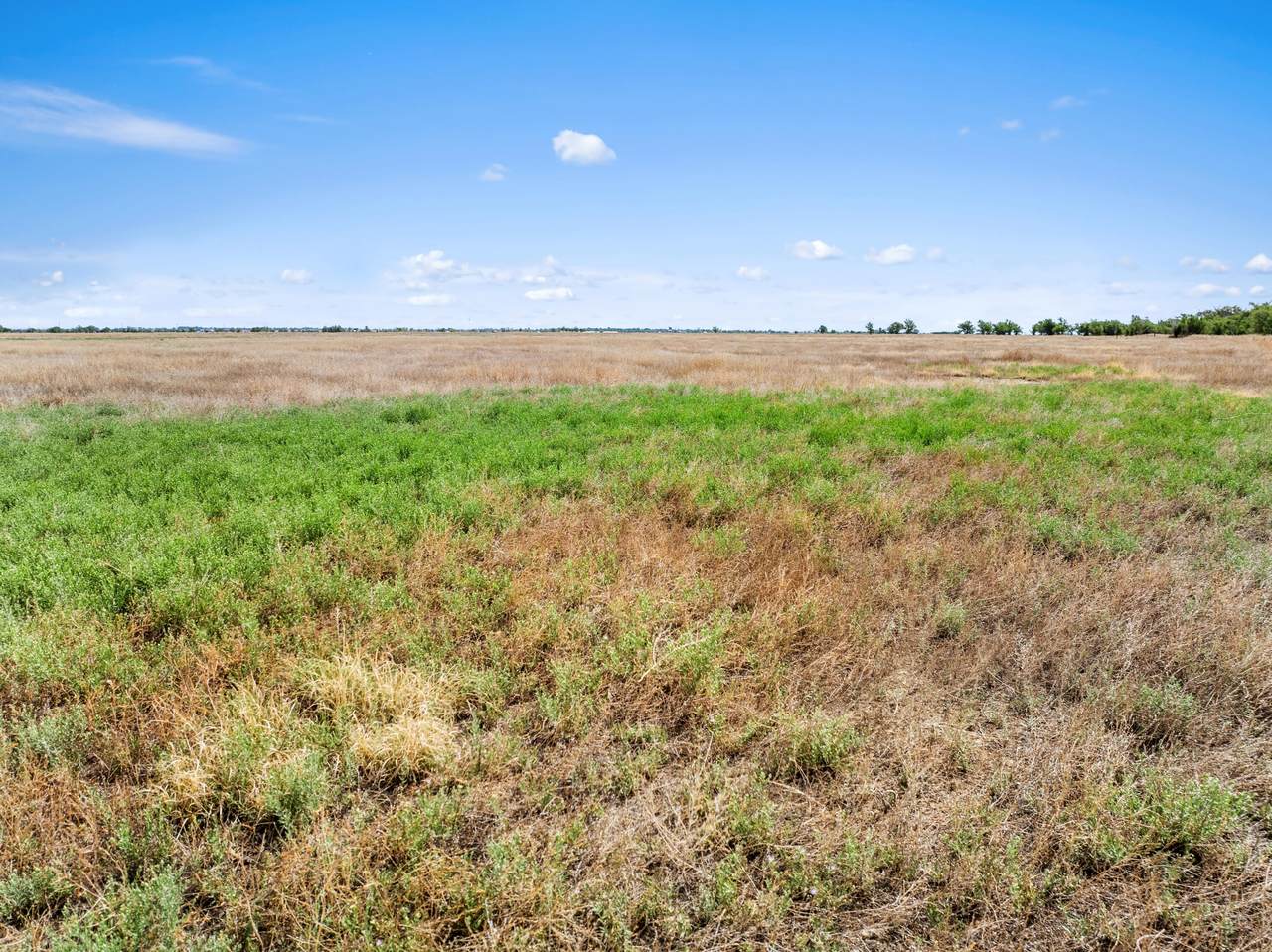 TBD County Lane 15 - Photo 1