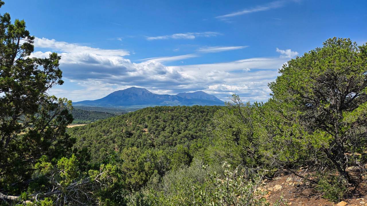 7 La Veta Pines Ranches - Photo 1