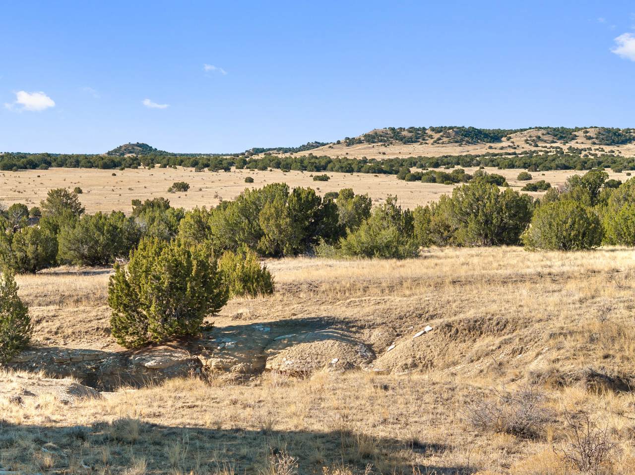 TBD County Road 88 - Photo 1