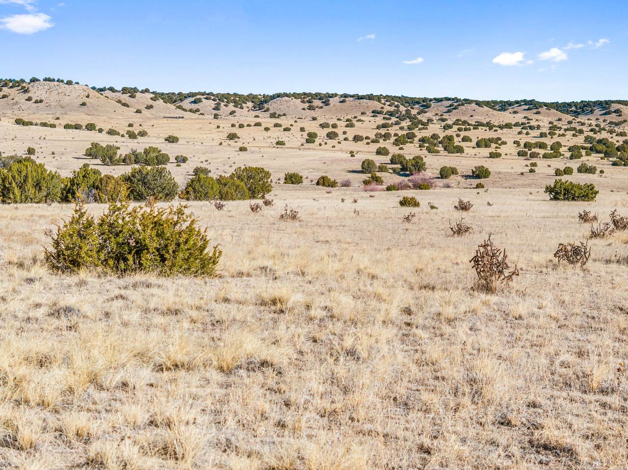 https://bt-photos.global.ssl.fastly.net/spanishpeaks/1280_boomver_1_26-872-2.jpg