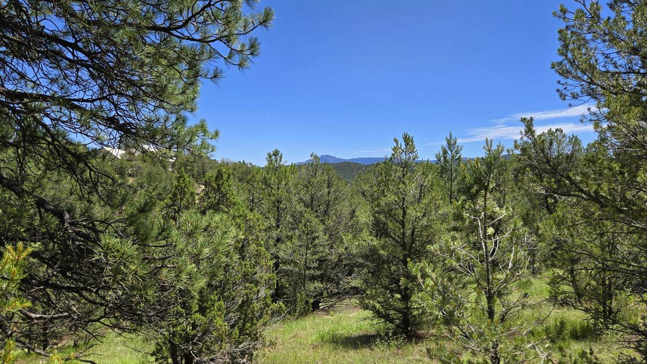 https://bt-photos.global.ssl.fastly.net/spanishpeaks/1280_boomver_1_26-896-2.jpg