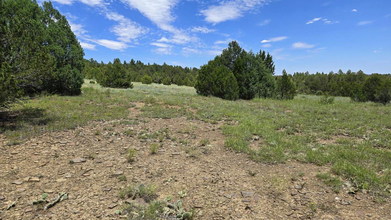https://bt-photos.global.ssl.fastly.net/spanishpeaks/1280_boomver_1_26-896-2.jpg
