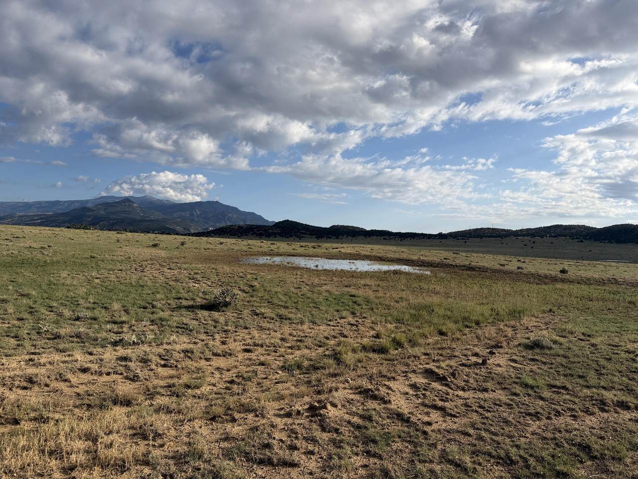 Lot 190 Black Hills - Photo 1