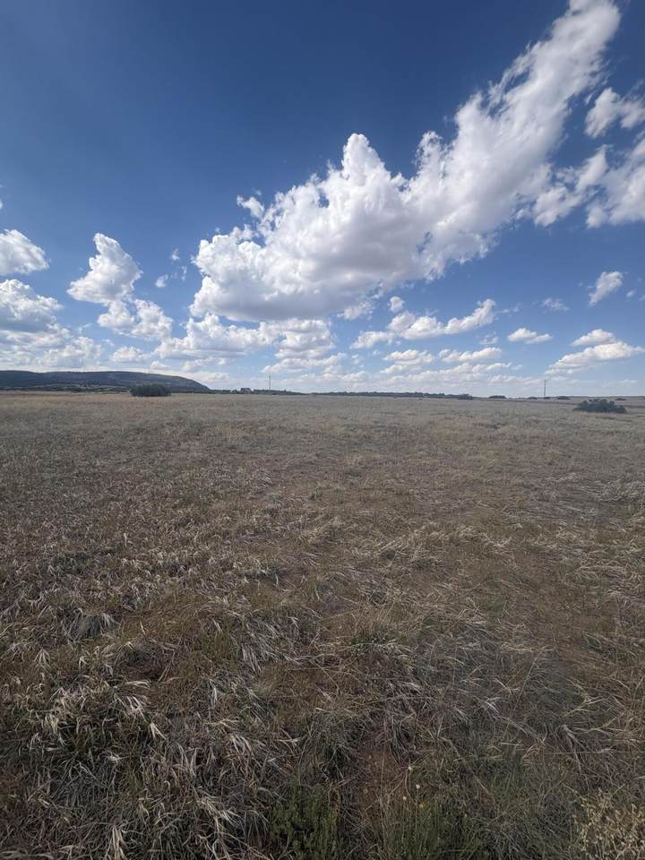 Lot 454 Sherry Ct - Photo 1