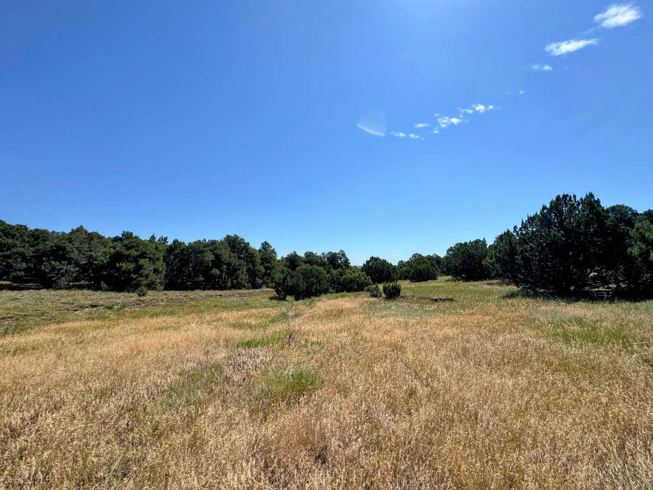 https://bt-photos.global.ssl.fastly.net/spanishpeaks/1280_boomver_1_26-906-2.jpg