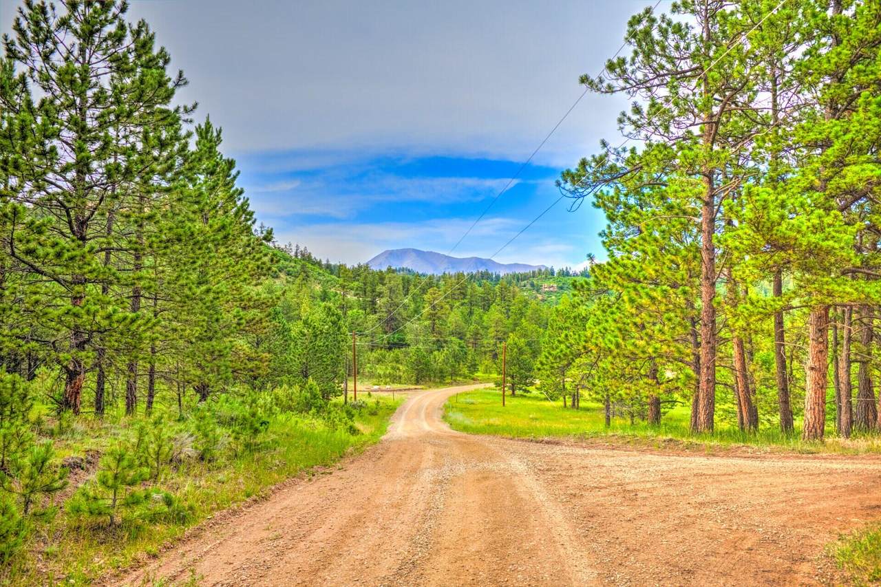 20014 Whiskey Canyon Drive - Photo 1