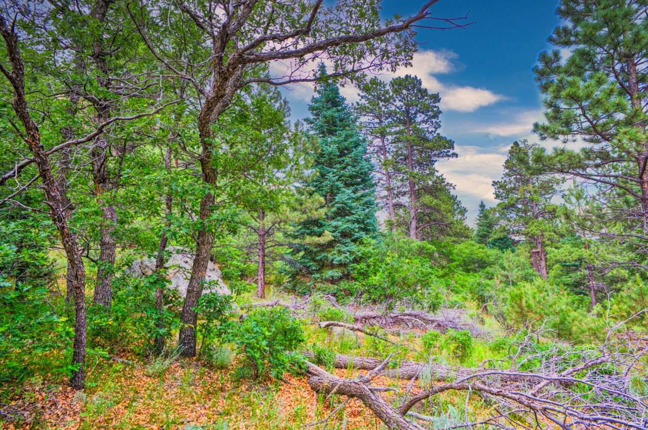 https://bt-photos.global.ssl.fastly.net/spanishpeaks/1280_boomver_1_26-99-2.jpg