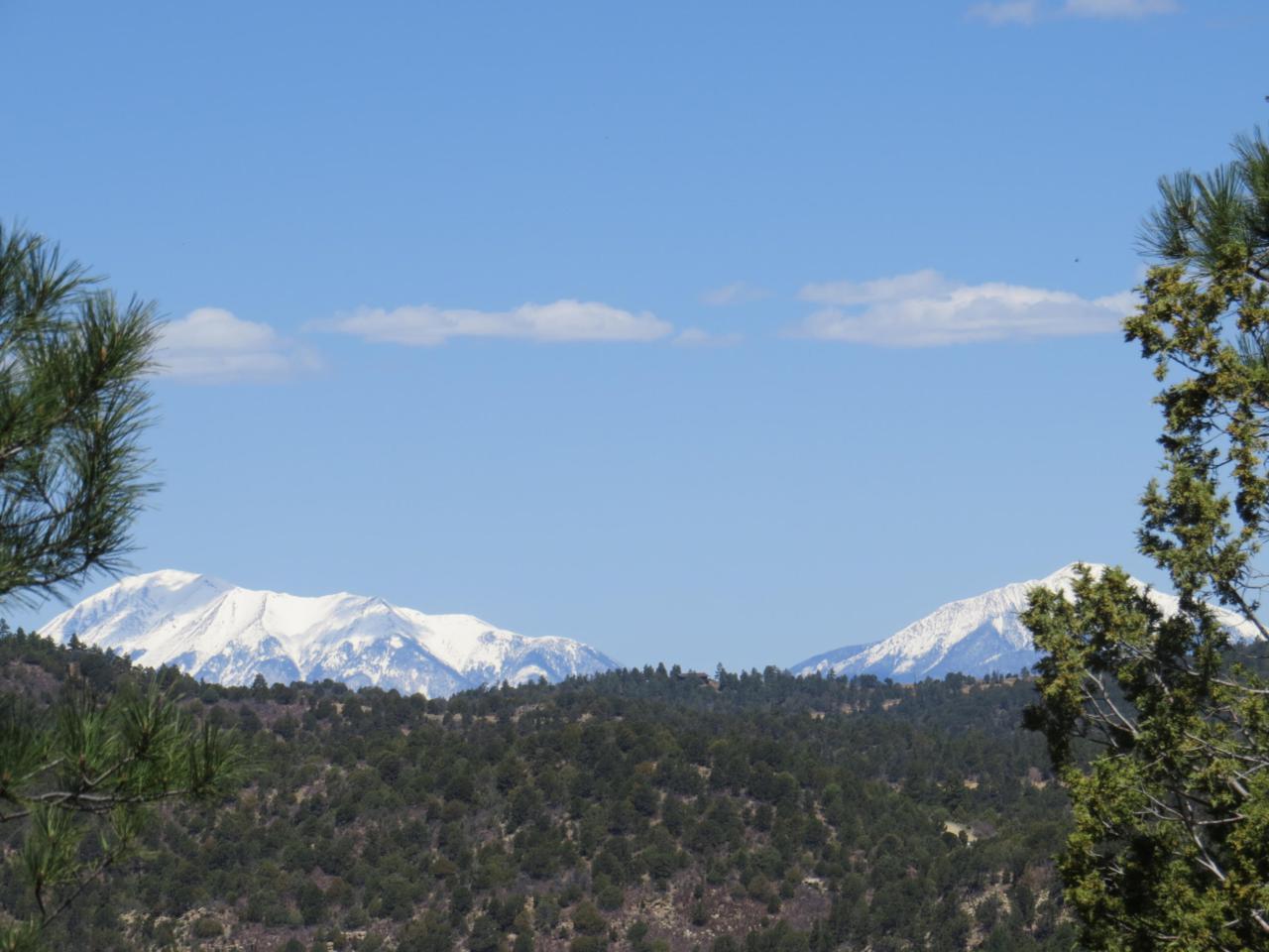 345 Trail Ridge Rd - Photo 1