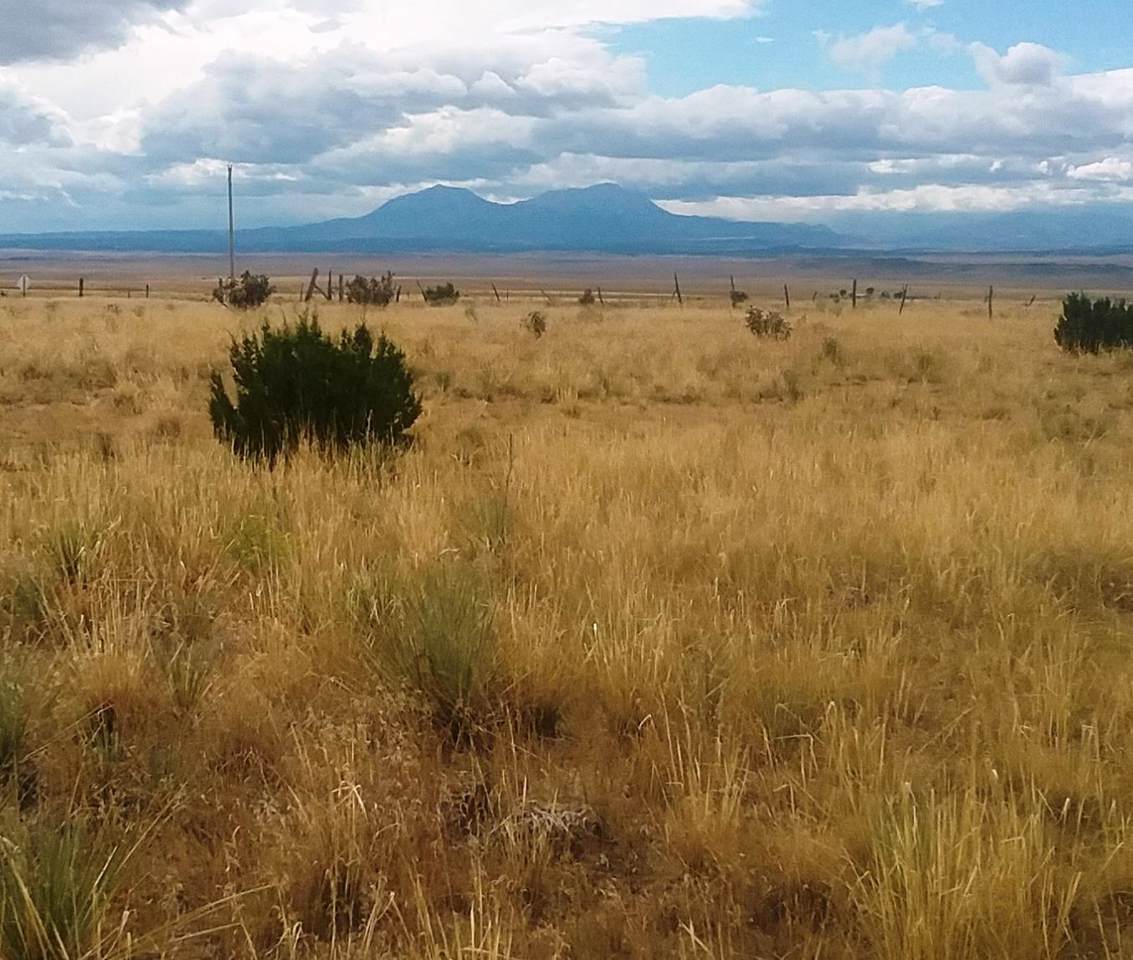 135 Cr122 Turkey Ridge Ranch - Photo 1