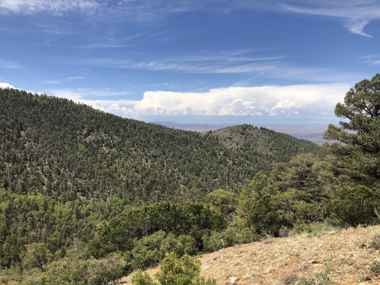 5556 Sangre De Cristo Ranches - Photo 1