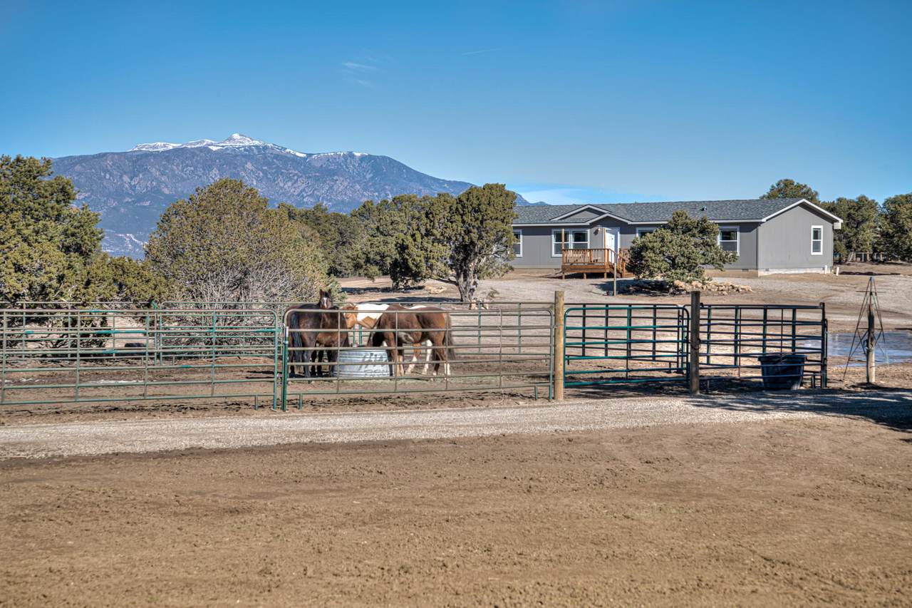 5387 County Rd 521 - Photo 1