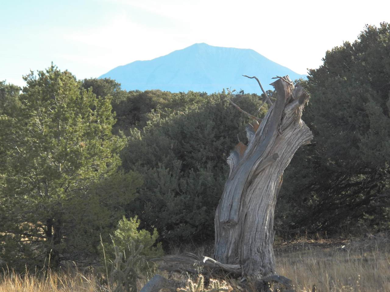 TBD Cedarwood Trail - Photo 1