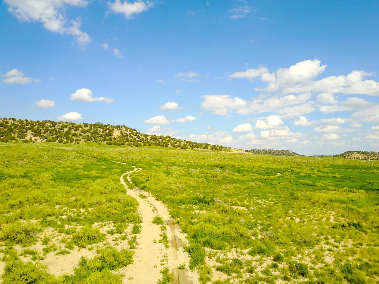 Turkey Creek Ranches - Photo 1