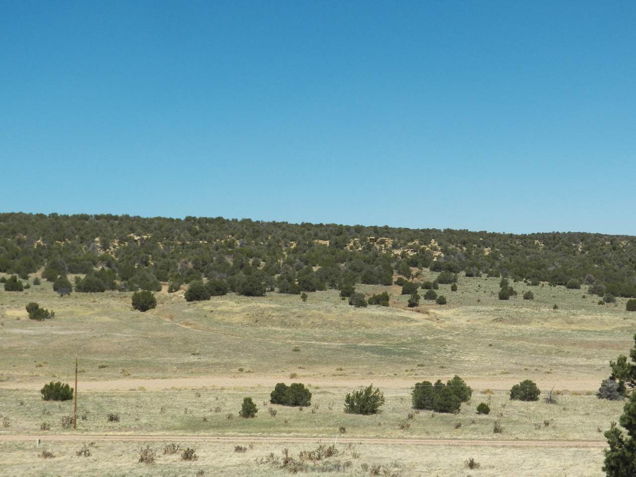 TBD Badger Rd - Photo 1