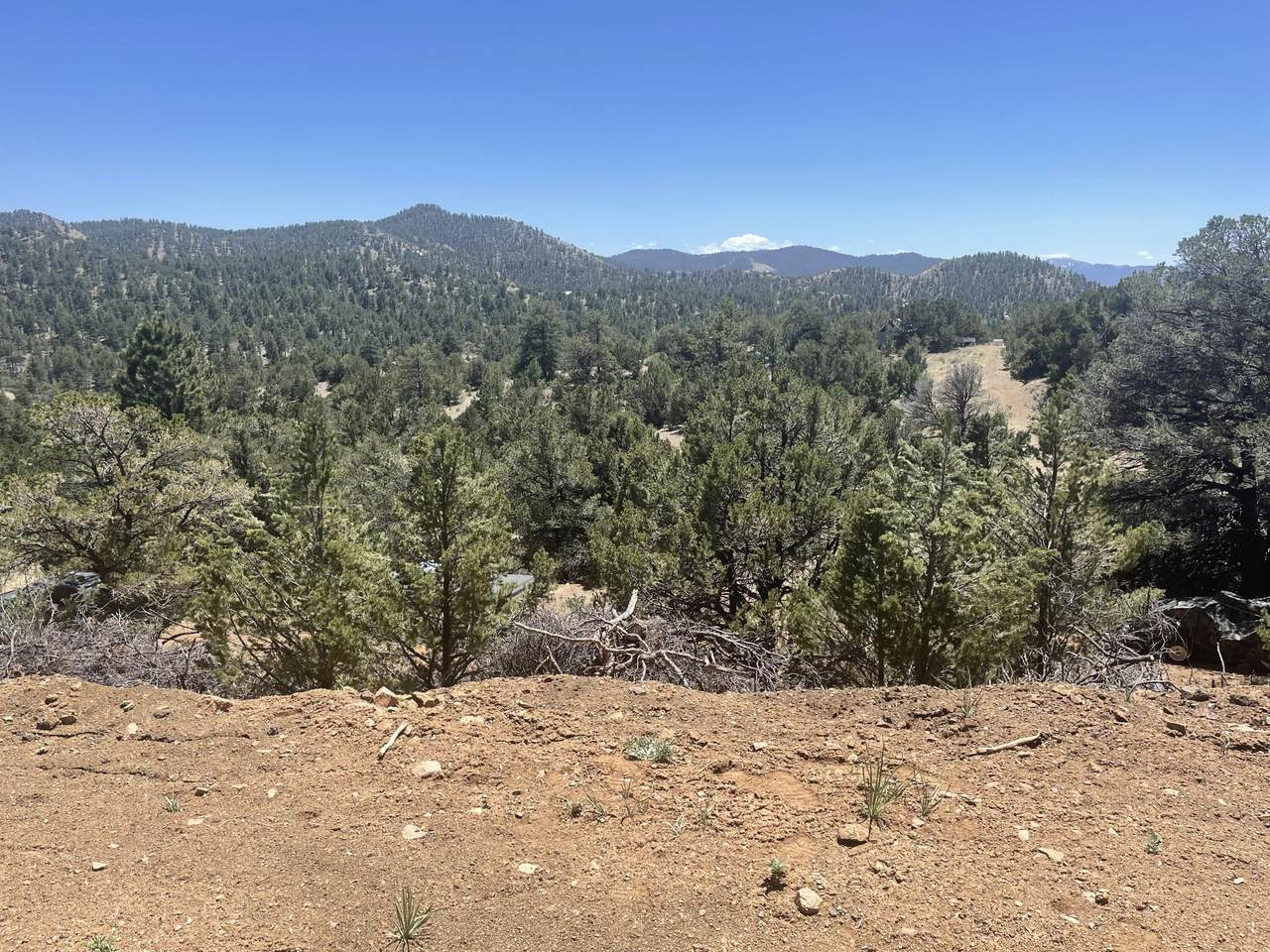 2973 Driftwood Rd - Photo 1