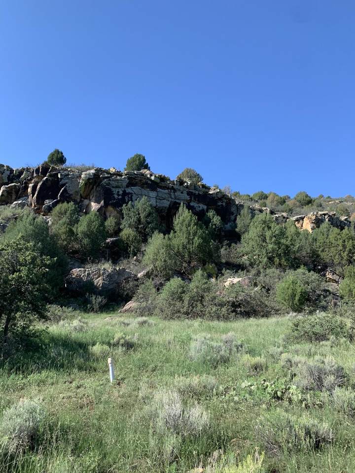 Lazy J H Ranch - Photo 1